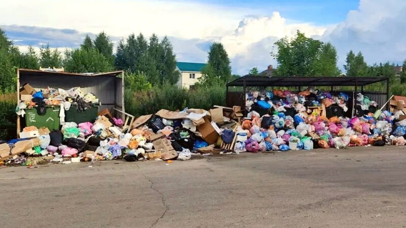 «Биотехнологиям» грозит штраф за мусорный коллапс в Гороховце