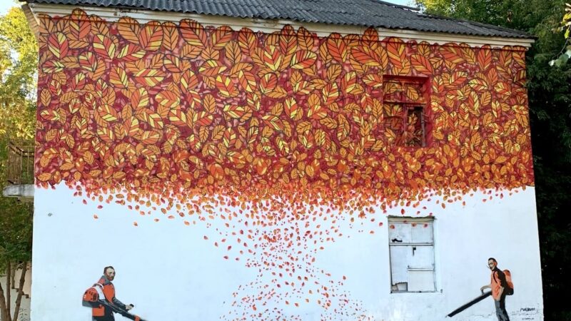 Во Владимире снесут дом с граффити Ван Гога и Дали