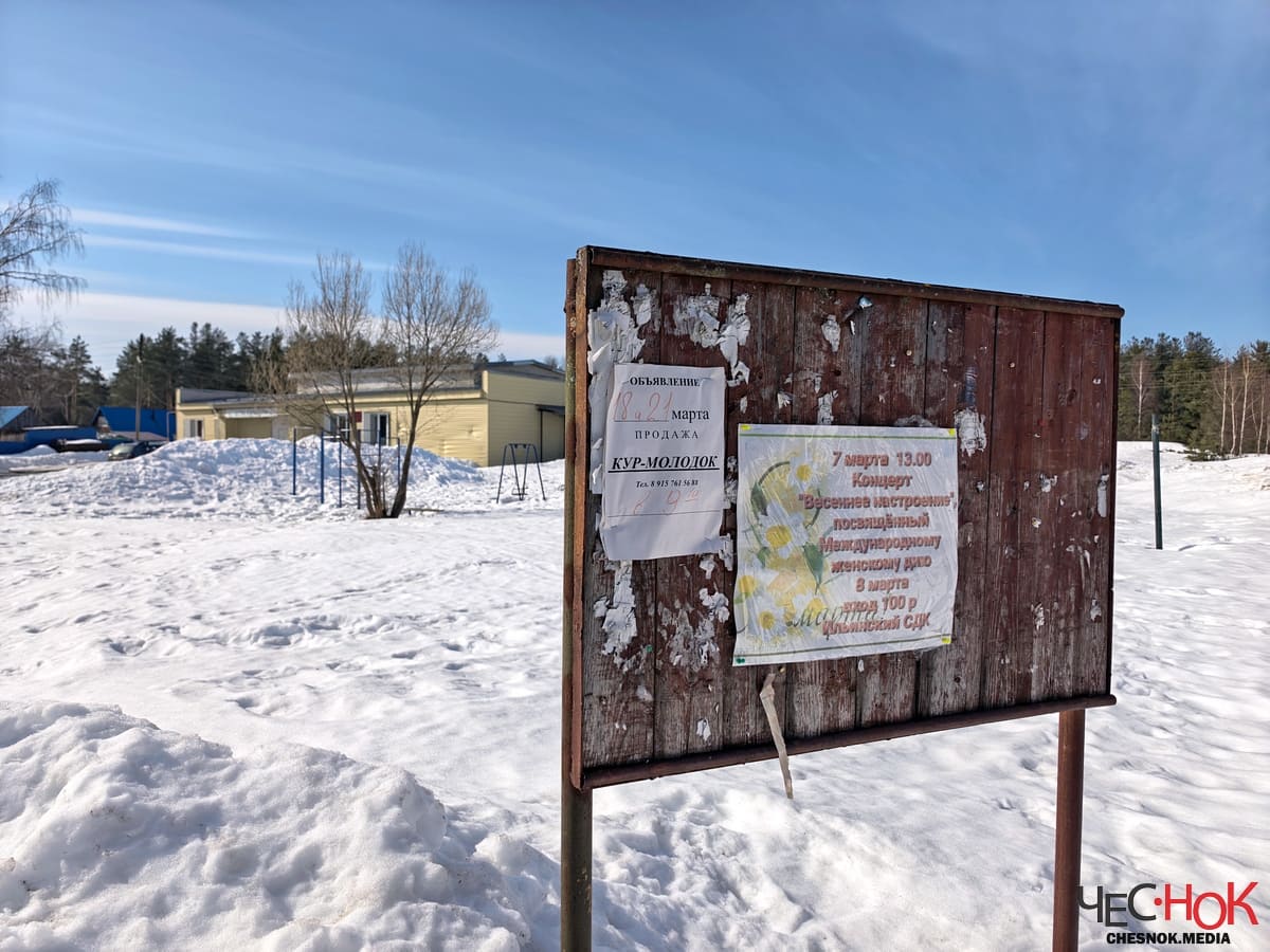 Гусь-Хрустальный Ильино ДК