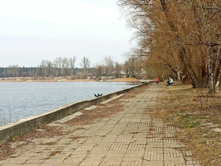 Подрядчика провальной набережной в Гусь-Хрустальном отправили в СИЗО