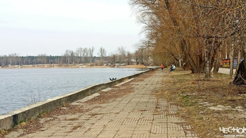 Подрядчика провальной набережной в Гусь-Хрустальном отправили в СИЗО