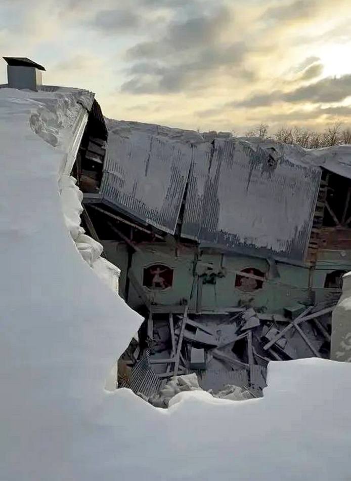 Гусь Обрушение школа