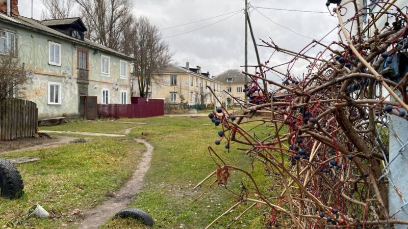 «Нечего тут ловить». Как живет самый быстровымирающий поселок во Владимирской области