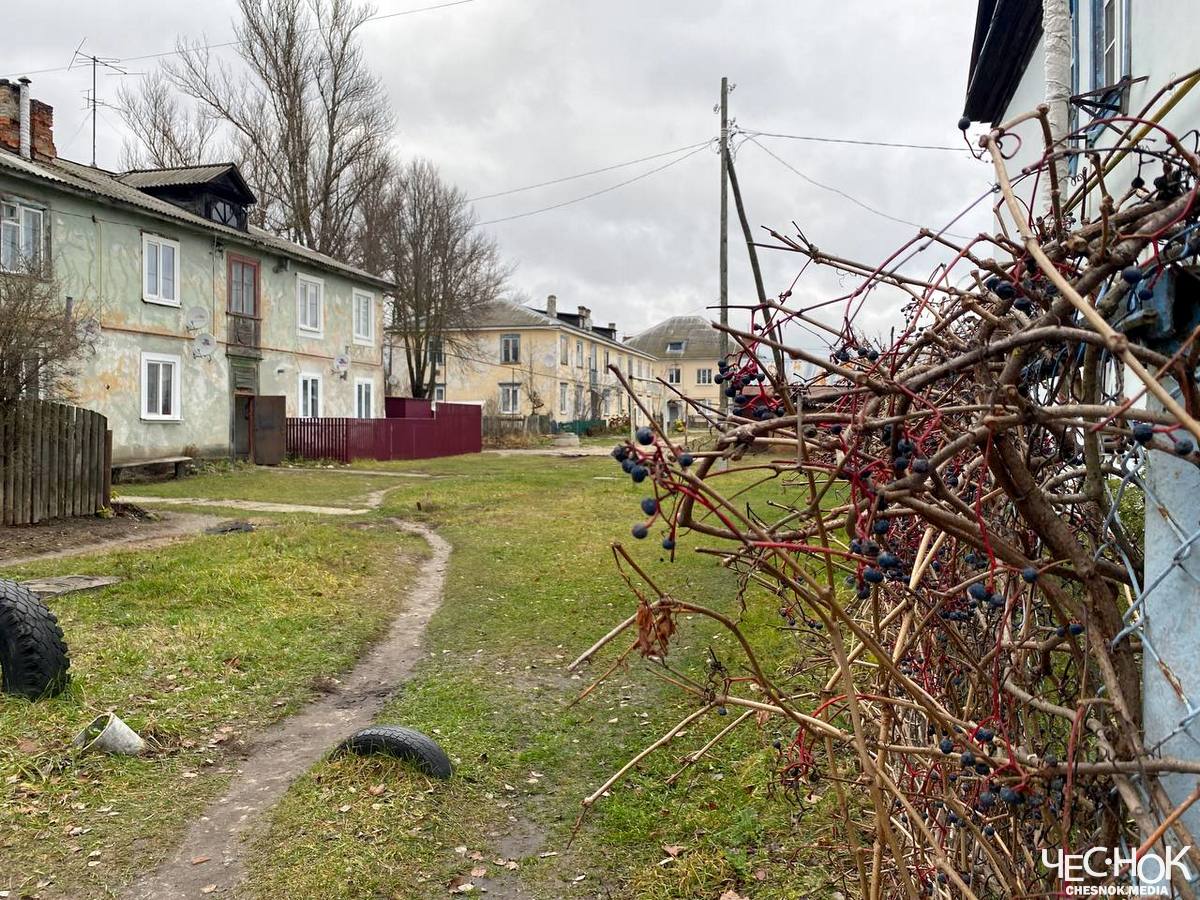 «Нечего тут ловить». Как живет самый быстровымирающий поселок во Владимирской области