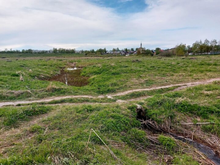 На Ильинском лугу в Суздале обнаружили слив канализации