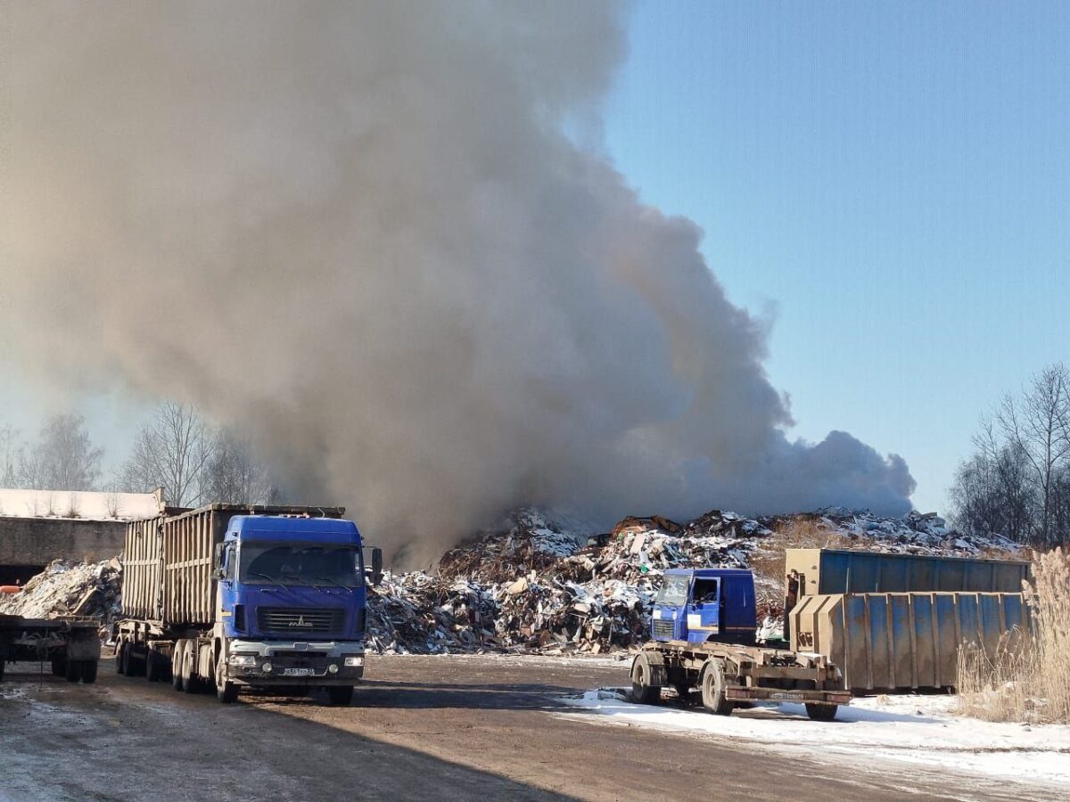 Мусор Гусь свалка