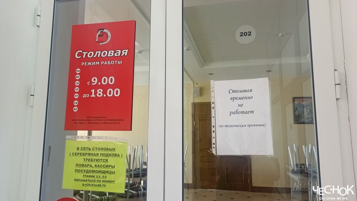 В центре Владимира за антисанитарию закрыли популярную столовую