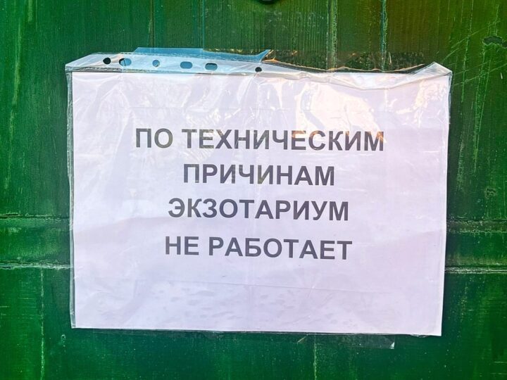 Владимирский экзотариум неделю остается без воды