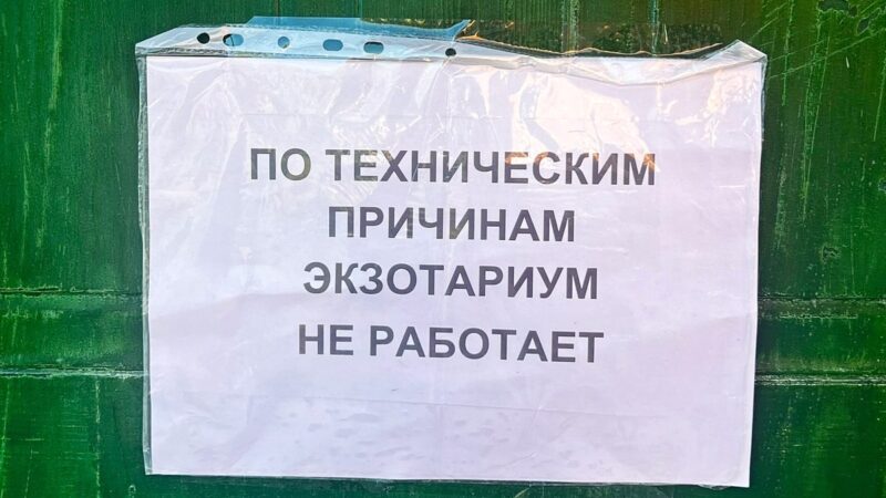 Владимирский экзотариум неделю остается без воды
