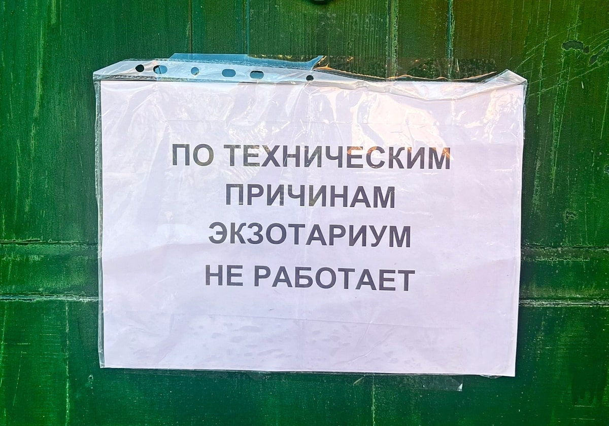 Владимирский экзотариум неделю остается без воды