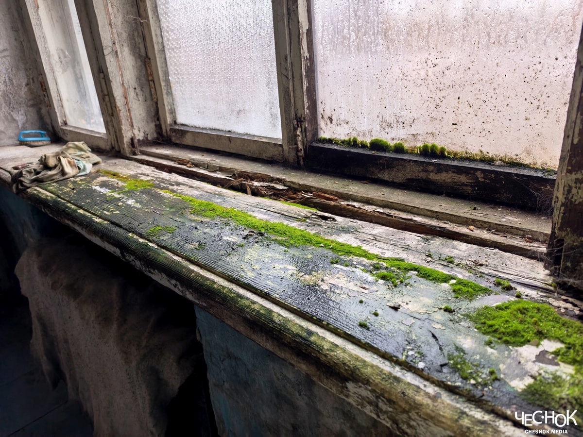 Камешково аварийки поселок карла маркса 2