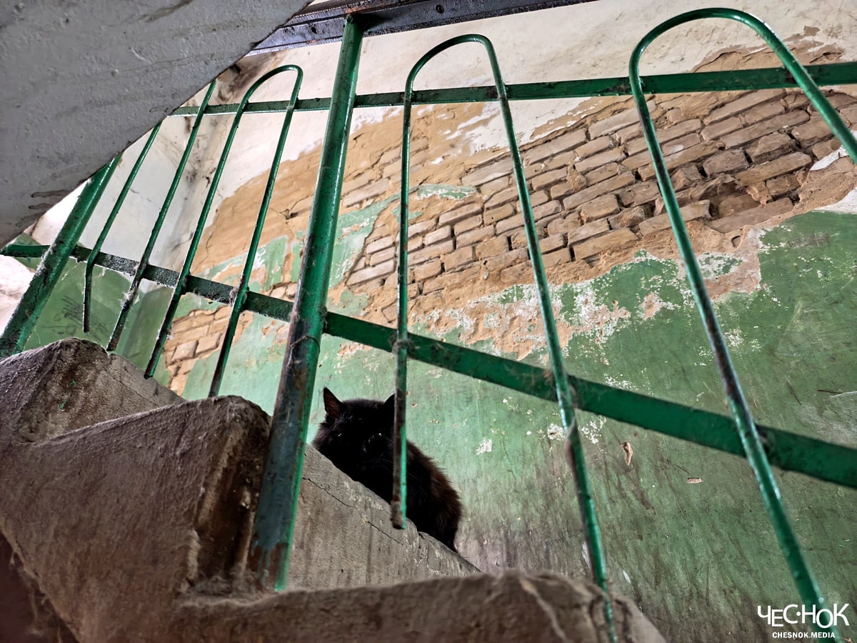 Камешково аварийки поселок карла маркса 2