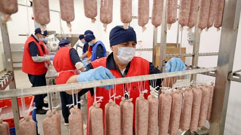 Во владимирских колбасах обнаружили африканскую чуму свиней