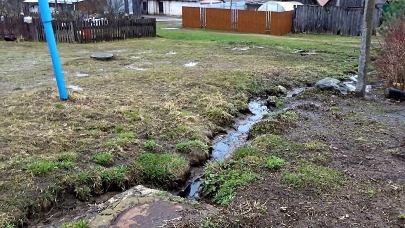 «Окна открыть не можем!». Деревня Сойма задыхается от текущей по улицам канализации