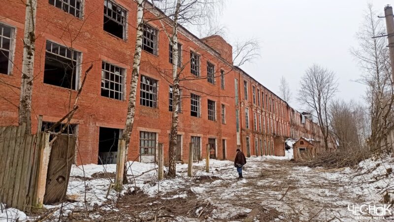 Застой проекта «Алмазная долина» в Белом доме объяснили «ошибкой инвестора»