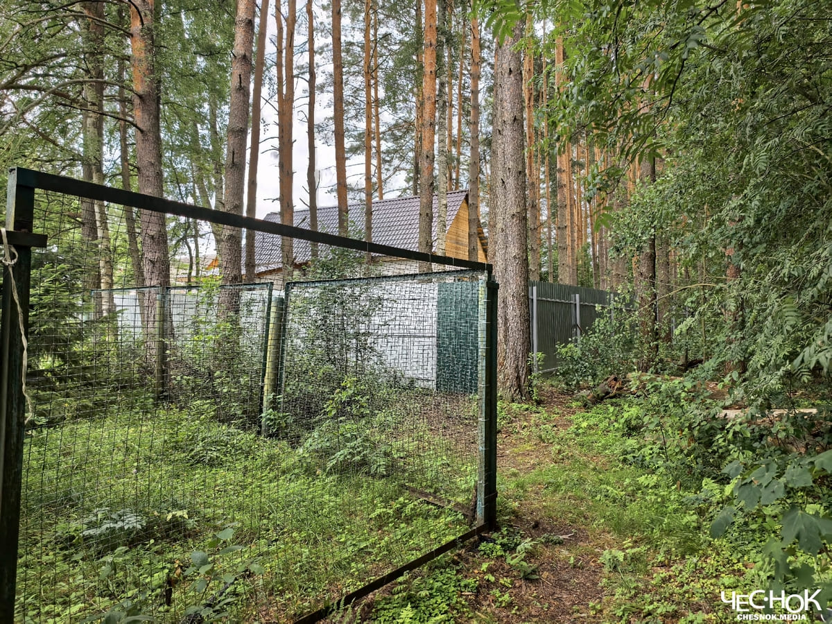 Киржач Светлова лес