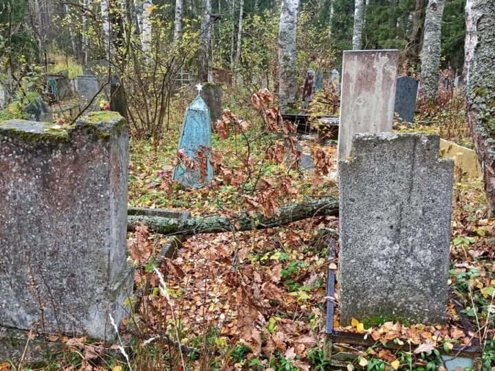 Меньше земли, дороже смерть. Во Владимирской области закрываются кладбища