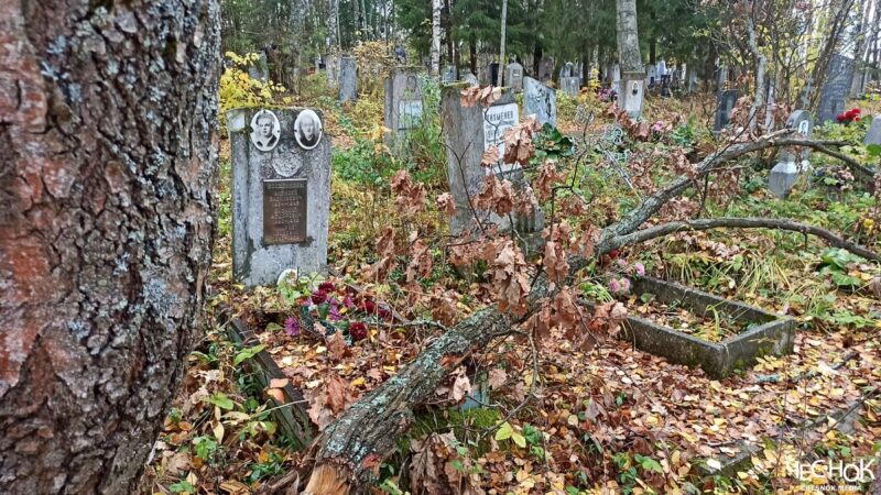 Во Владимире назначен новый начальник кладбищенского бизнеса