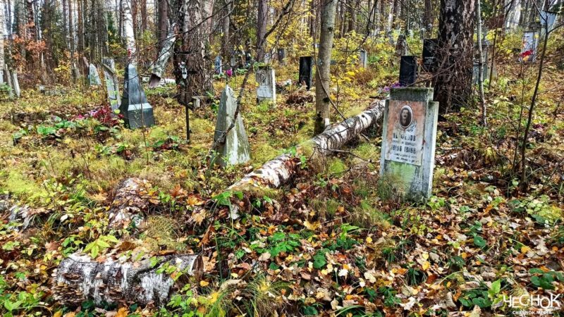 Во Владимирской области начинается инвентаризация кладбищ