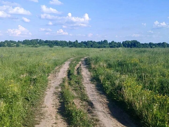 Суд обязал ликвидировать кольчугинское бездорожье