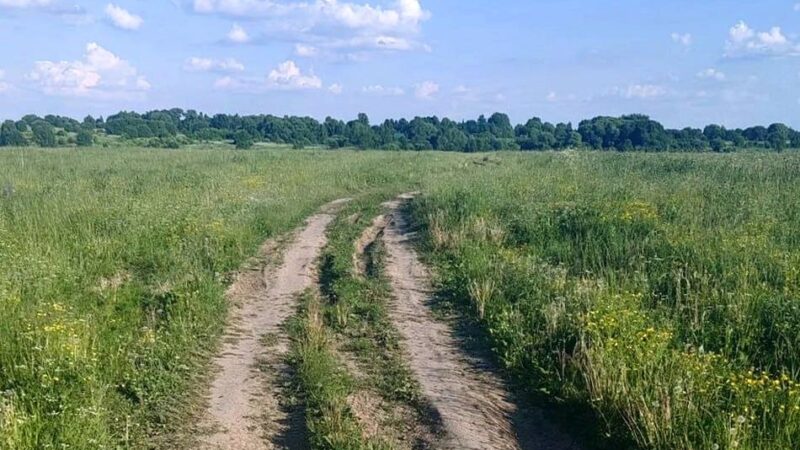 Суд обязал ликвидировать кольчугинское бездорожье