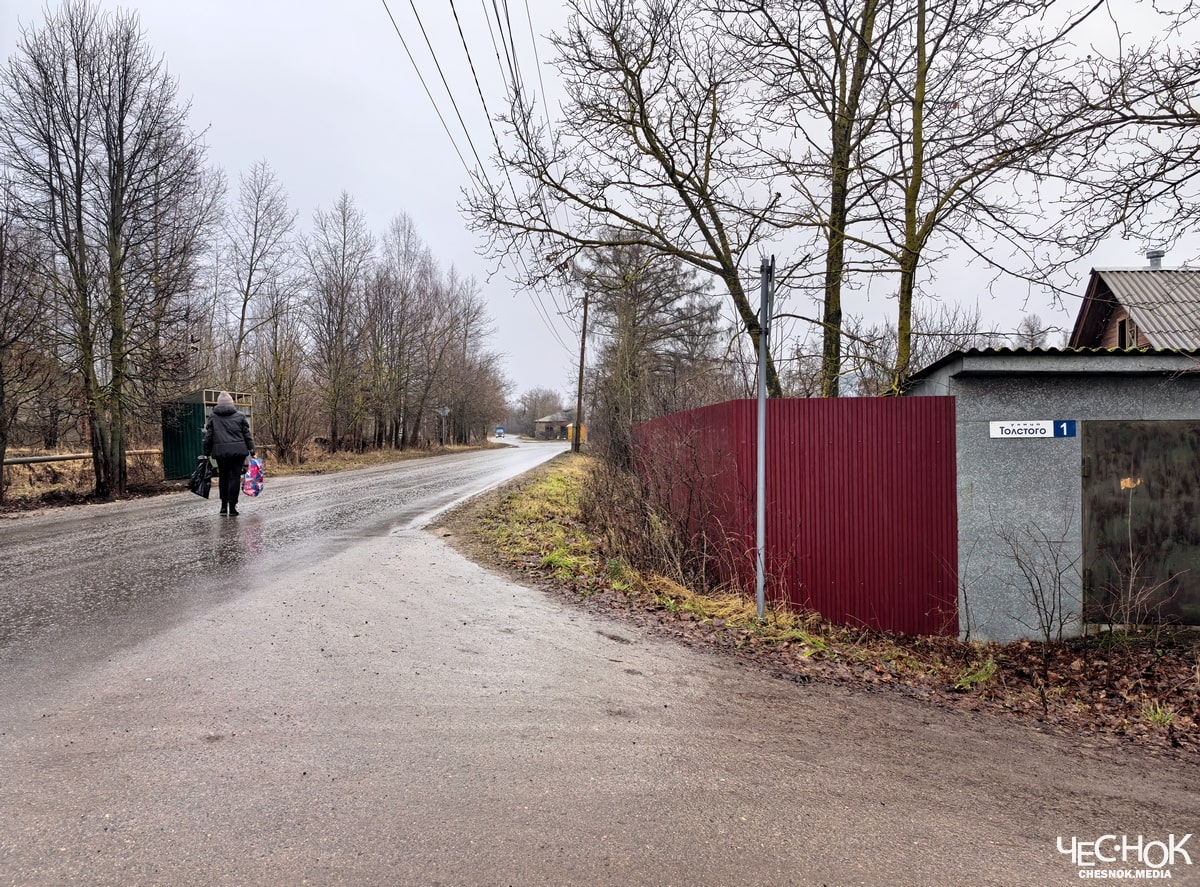 Кольчугино дорога Толстого-min