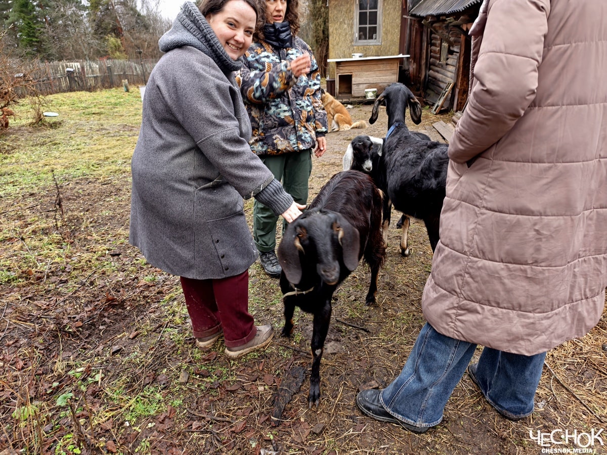 Кольчугино избинг 14