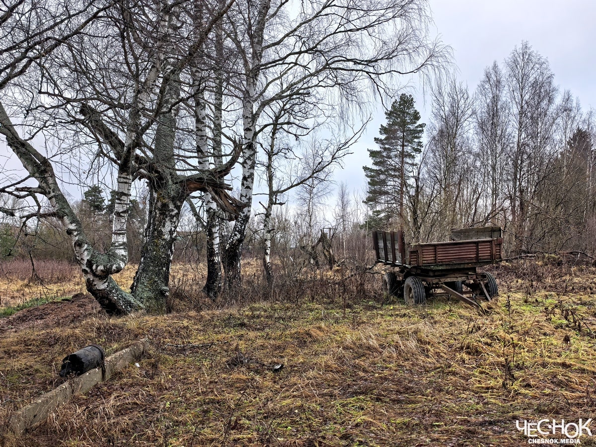 Кольчугино избинг 2