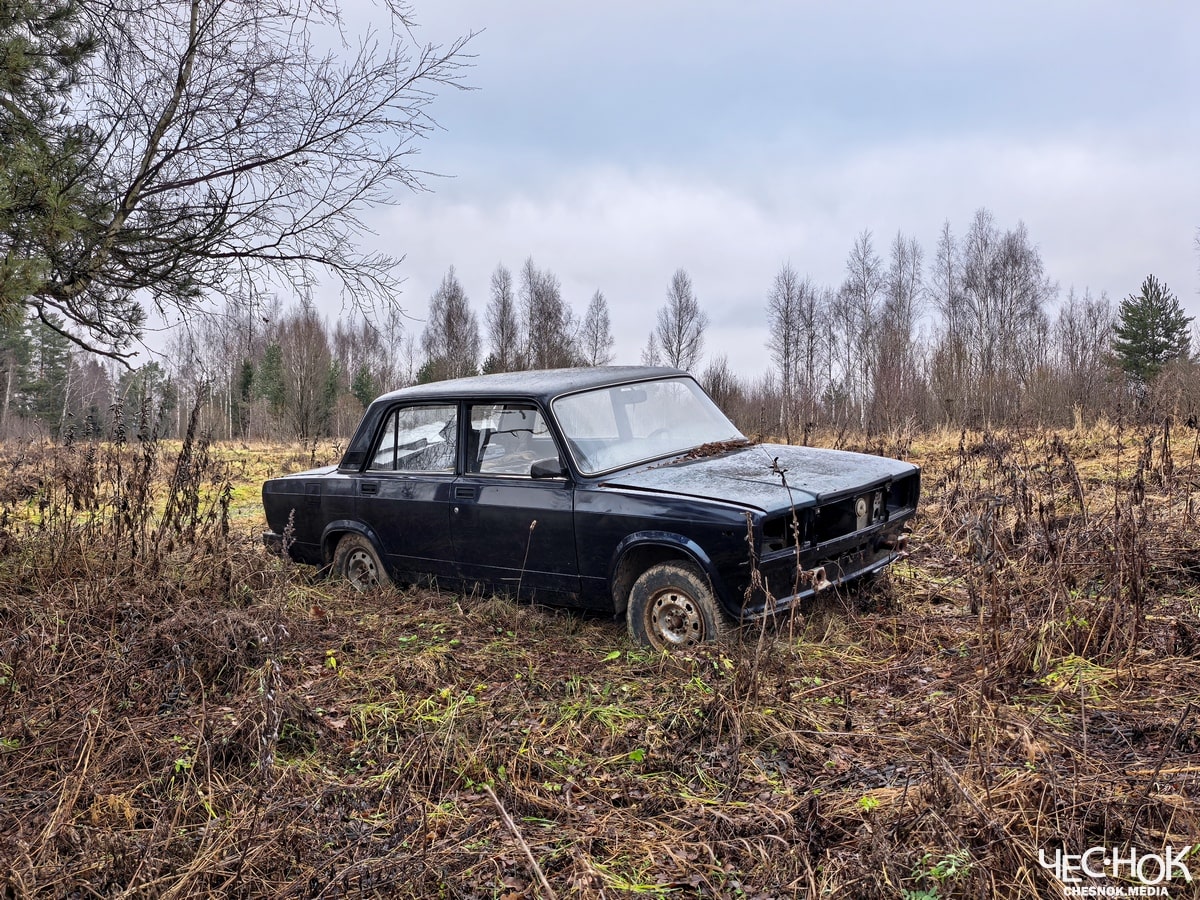 Кольчугино избинг 2