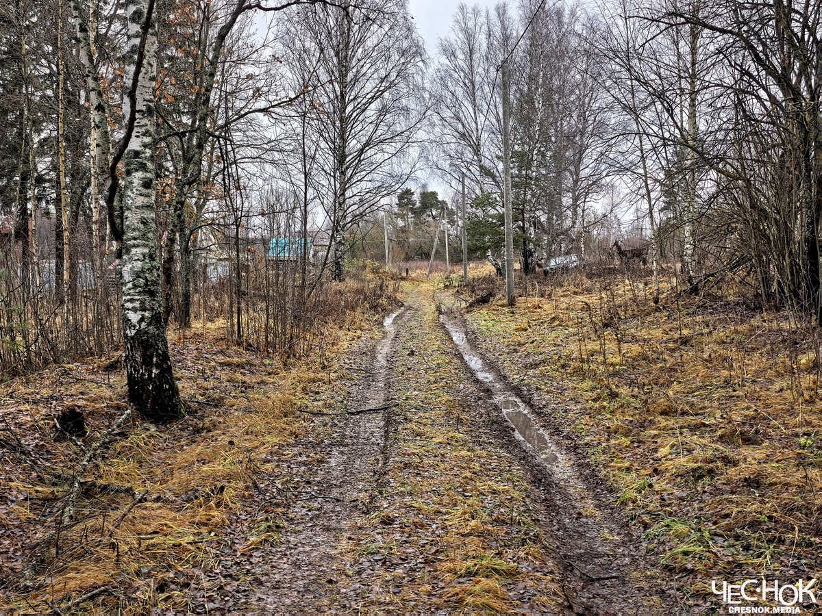 Кольчугино избинг 5