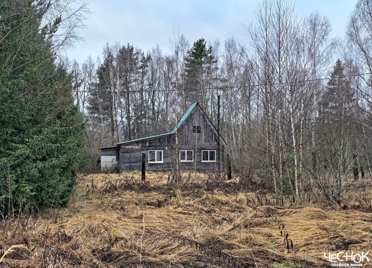 Кольчугино избинг 7