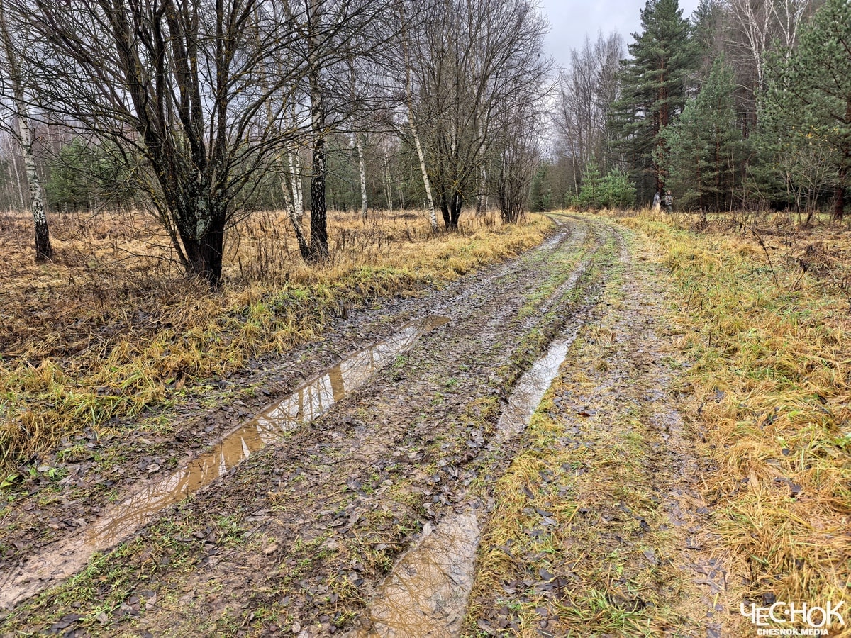 Кольчугино избинг 5