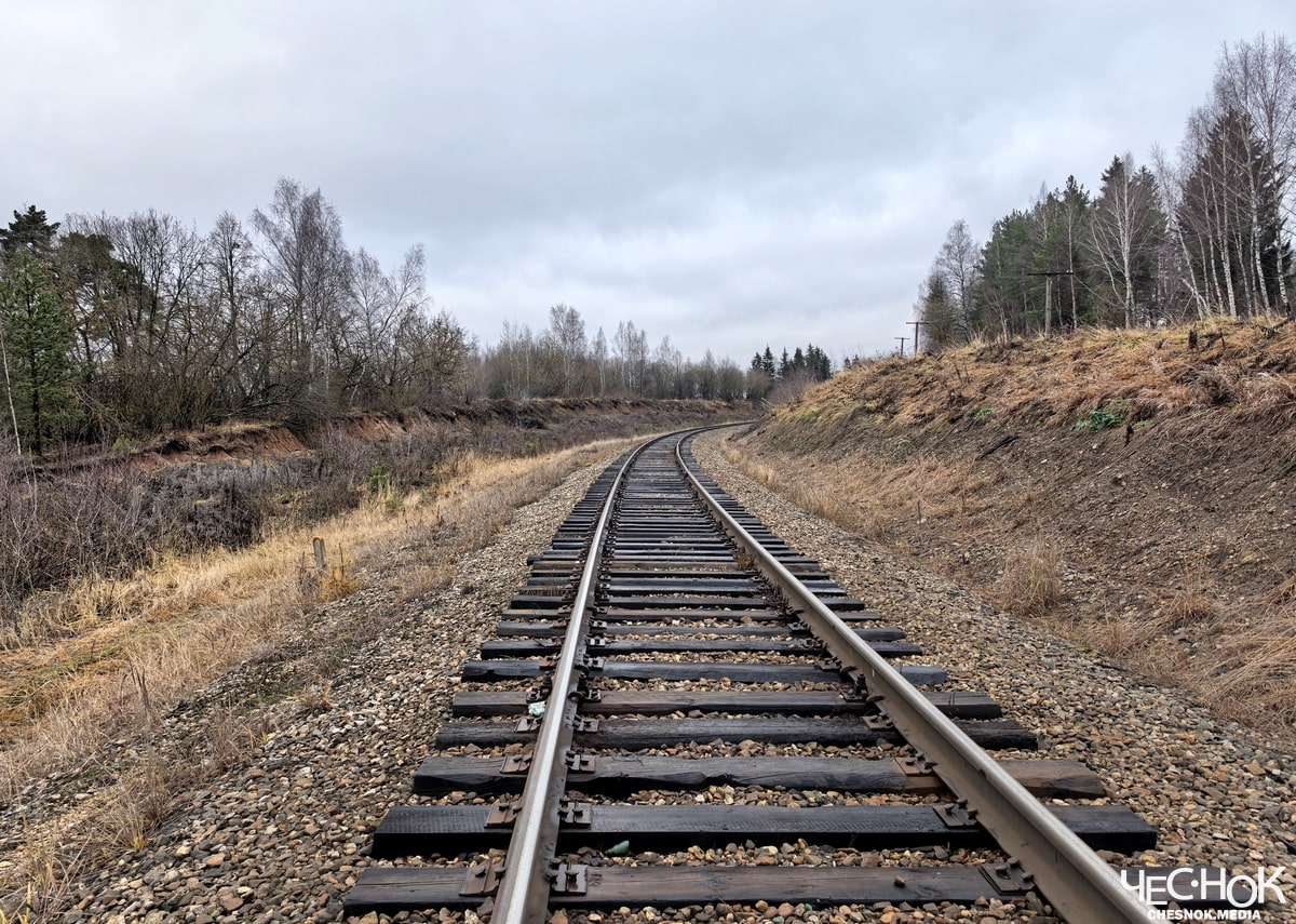 Кольчугино избинг 21