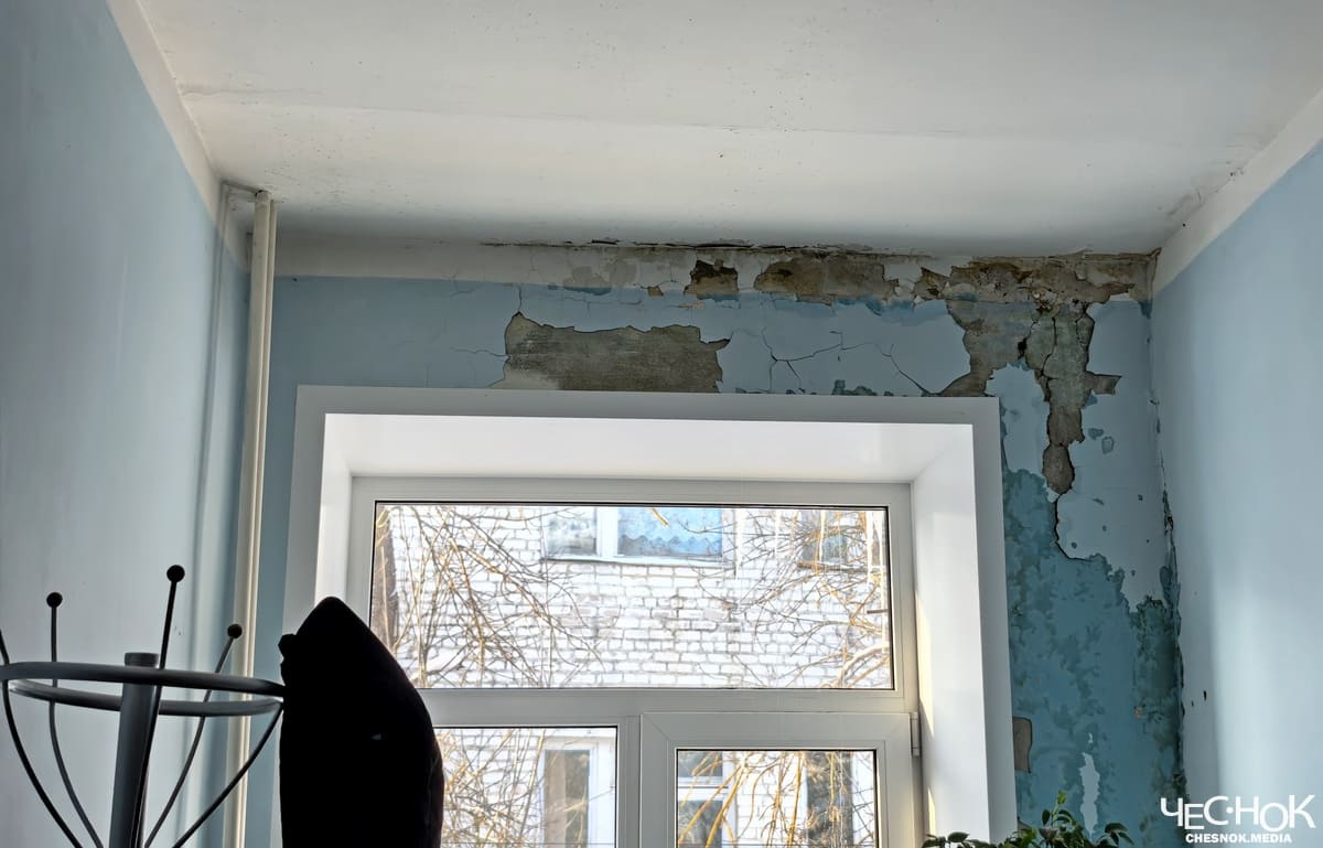 Кольчугино роддом 6