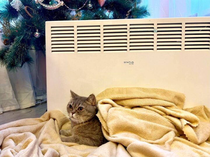 В 30-градусный мороз владимирцы остались без воды, газа и тепла