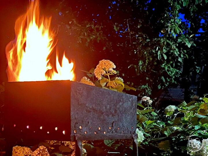 Владимирцам вновь разрешат разжигать костры и мангалы