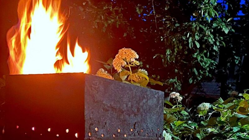 Владимирцам вновь разрешат разжигать костры и мангалы