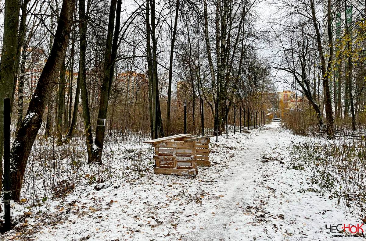 Застройщик отрезает еще один кусок Козьего парка