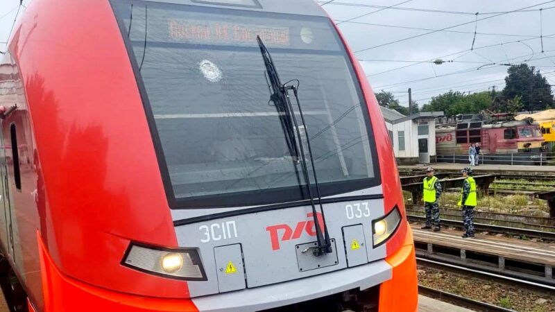 Подросток разбил камнем лобовое стекло «Ласточки» под Владимиром