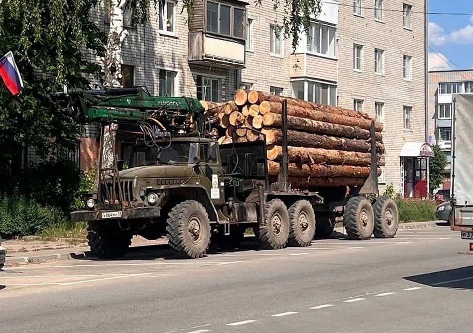 Лес валежник Петушки СВО 5
