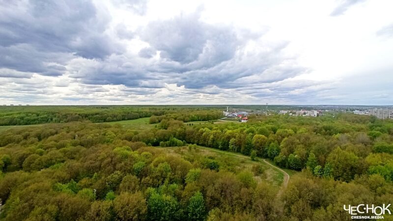 Мэрия Владимира не отказалась от застройки парка «Дружба»