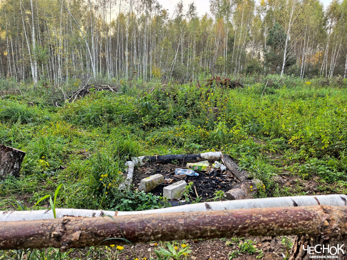 Лунево многодетные участки 6