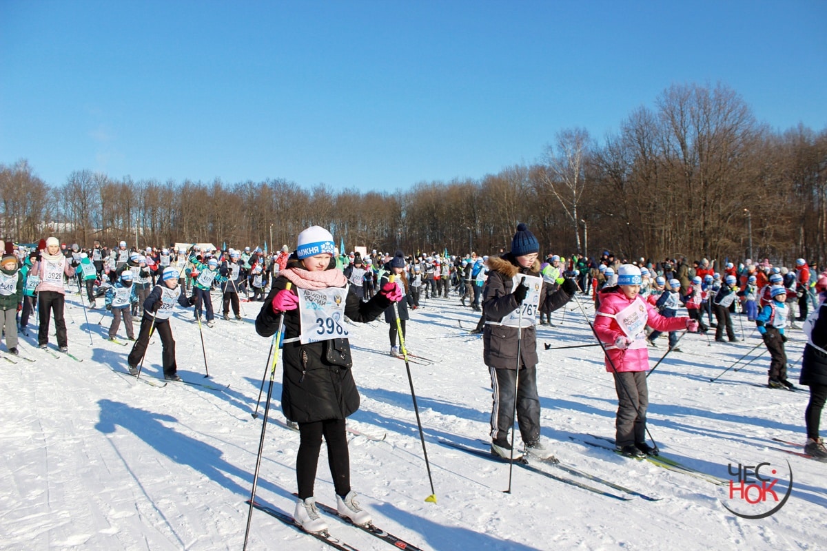 Концепцию лыжного комплекса в парке «Дружба» разработают за три месяца