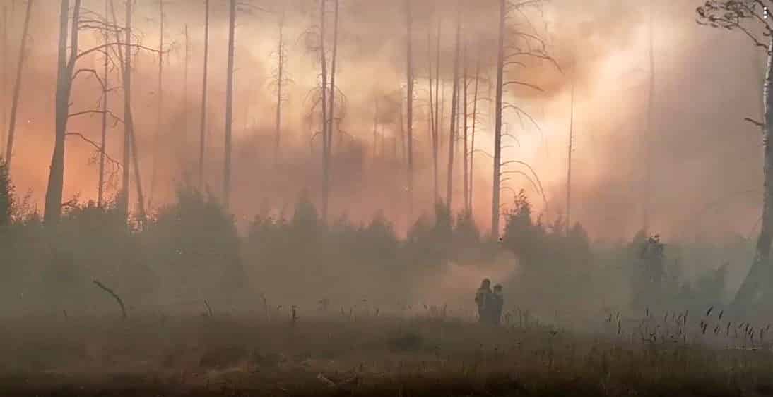 МЧС лесные пожары