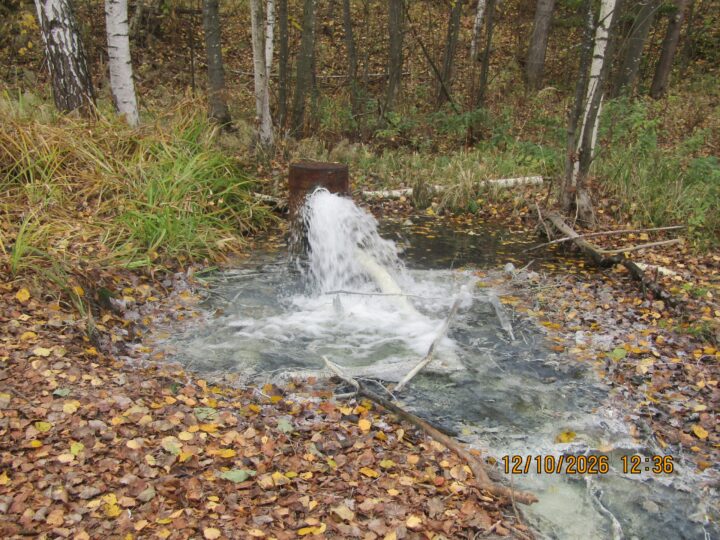 Минприроды проверило зловонный ручей в Камешковском районе