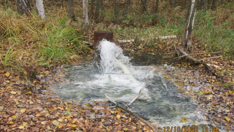 Минприроды проверило зловонный ручей в Камешковском районе