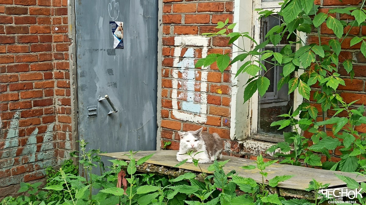 Муром аварийка 8