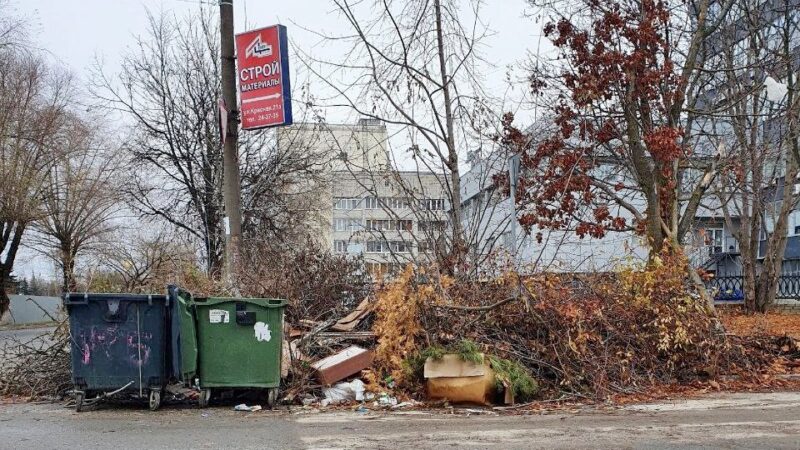 Мэру Владимира указали на завалы мусора