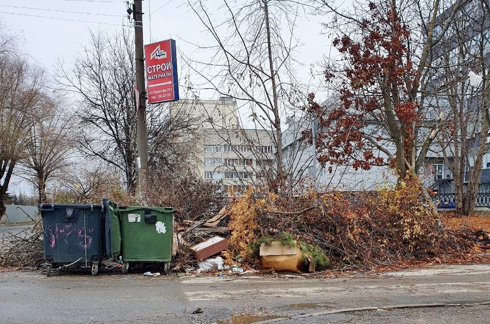 Мэру Владимира указали на завалы мусора