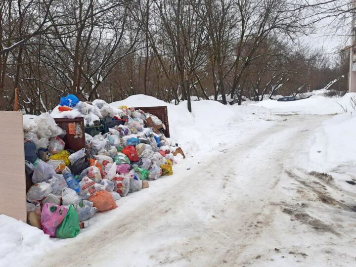 «Биотехнологиям» дали неделю на расчистку Владимира от мусорных завалов 